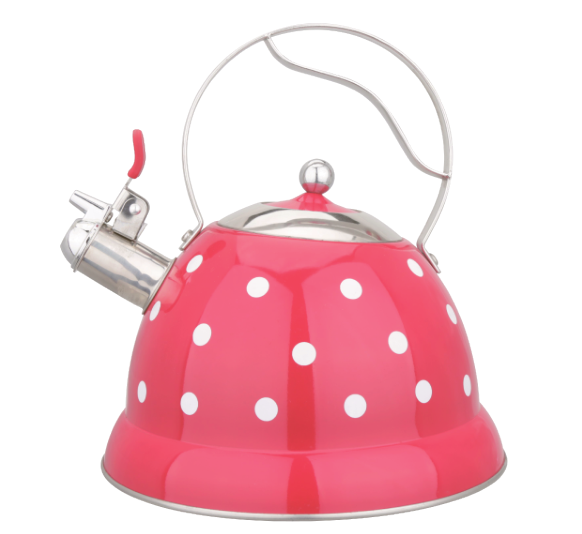 Model HS-W020 Stainless Steel Kettle