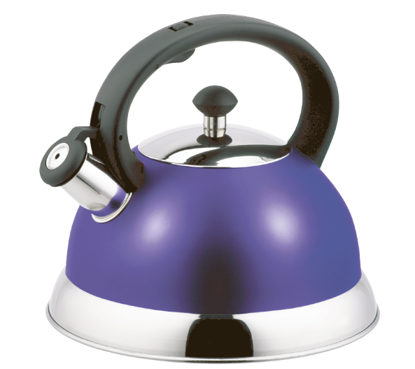 Model HS-W050 Stainless Steel Kettle